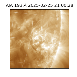 saia - 2025-02-25T21:00:28.843000