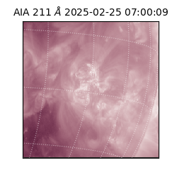 saia - 2025-02-25T07:00:09.626000