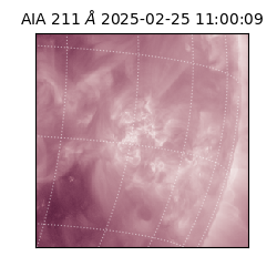 saia - 2025-02-25T11:00:09.630000