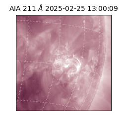 saia - 2025-02-25T13:00:09.629000