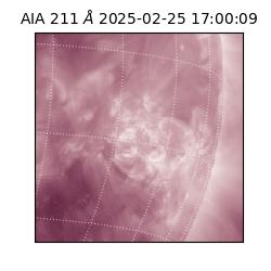 saia - 2025-02-25T17:00:09.631000