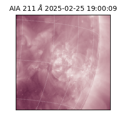 saia - 2025-02-25T19:00:09.625000