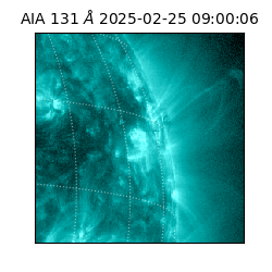saia - 2025-02-25T09:00:06.622000