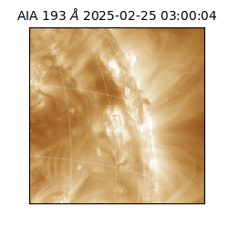saia - 2025-02-25T03:00:04.846000
