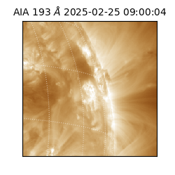 saia - 2025-02-25T09:00:04.843000