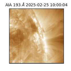 saia - 2025-02-25T10:00:04.843000