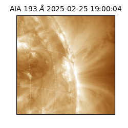 saia - 2025-02-25T19:00:04.843000