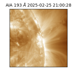 saia - 2025-02-25T21:00:28.843000