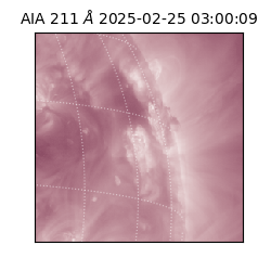 saia - 2025-02-25T03:00:09.631000