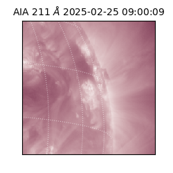 saia - 2025-02-25T09:00:09.626000