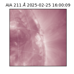 saia - 2025-02-25T16:00:09.632000