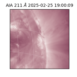 saia - 2025-02-25T19:00:09.625000