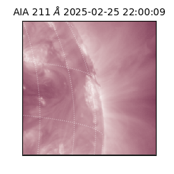 saia - 2025-02-25T22:00:09.626000