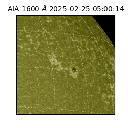 saia - 2025-02-25T05:00:14.126000