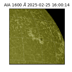 saia - 2025-02-25T16:00:14.126000