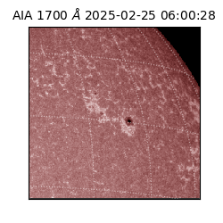 saia - 2025-02-25T06:00:28.709000