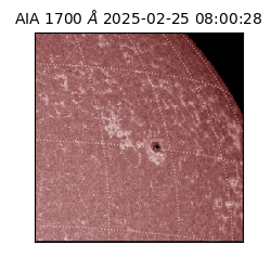 saia - 2025-02-25T08:00:28.717000