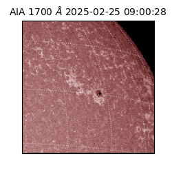 saia - 2025-02-25T09:00:28.721000