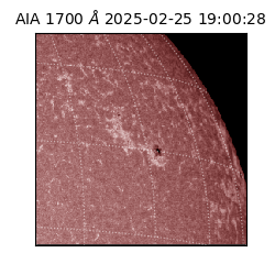 saia - 2025-02-25T19:00:28.749000