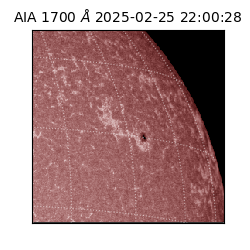 saia - 2025-02-25T22:00:28.726000