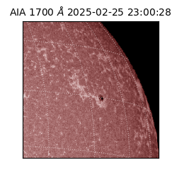 saia - 2025-02-25T23:00:28.717000