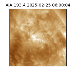 saia - 2025-02-25T06:00:04.835000