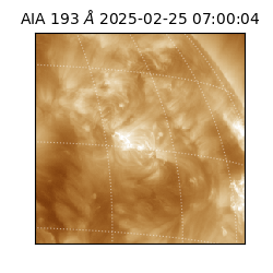 saia - 2025-02-25T07:00:04.844000