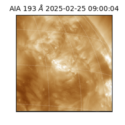 saia - 2025-02-25T09:00:04.843000