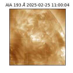 saia - 2025-02-25T11:00:04.843000