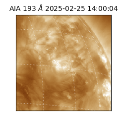 saia - 2025-02-25T14:00:04.843000