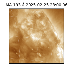 saia - 2025-02-25T23:00:06.936000