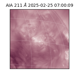 saia - 2025-02-25T07:00:09.626000