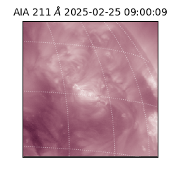 saia - 2025-02-25T09:00:09.626000