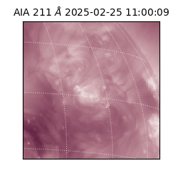 saia - 2025-02-25T11:00:09.630000