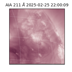 saia - 2025-02-25T22:00:09.626000