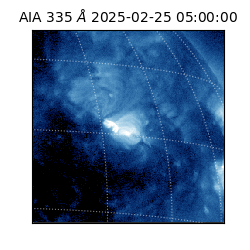 saia - 2025-02-25T05:00:00.625000