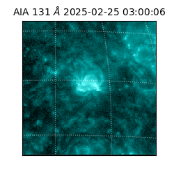 saia - 2025-02-25T03:00:06.622000