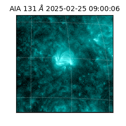 saia - 2025-02-25T09:00:06.622000