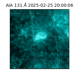 saia - 2025-02-25T20:00:06.622000