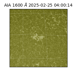 saia - 2025-02-25T04:00:14.125000