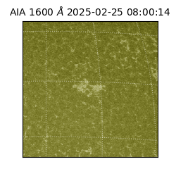 saia - 2025-02-25T08:00:14.125000