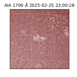 saia - 2025-02-25T23:00:28.717000