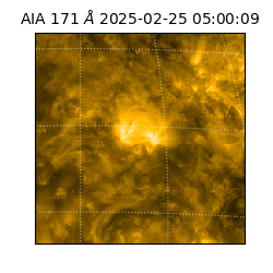 saia - 2025-02-25T05:00:09.351000