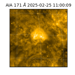 saia - 2025-02-25T11:00:09.350000