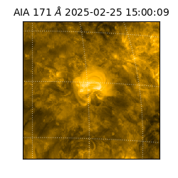 saia - 2025-02-25T15:00:09.350000