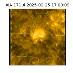 saia - 2025-02-25T17:00:09.350000