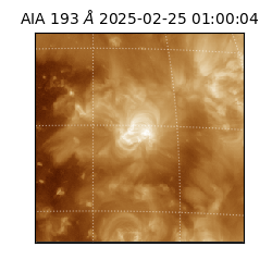 saia - 2025-02-25T01:00:04.846000