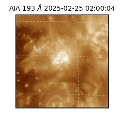 saia - 2025-02-25T02:00:04.846000