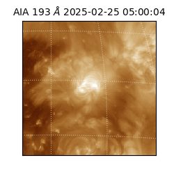 saia - 2025-02-25T05:00:04.846000