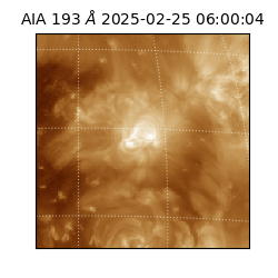 saia - 2025-02-25T06:00:04.835000